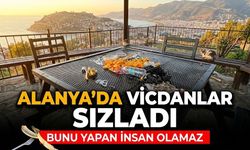 Alanya’da vicdanlar sızladı: "Bunu yapan insan olamaz"