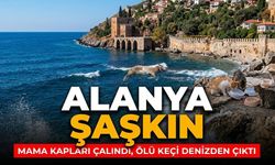 Alanya şaşkın: Mama kapları çalındı, ölü keçi denizden çıktı
