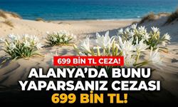 Alanya’da bunu yaparsanız cezası 699 bin TL!
