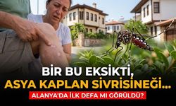 Alanya'da ilk defa mı görüldü? Bir bu eksikti, Asya Kaplan Sivrisineği…
