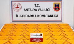 Alanya’da dev operasyon: Yüzbinlerce A4 yakalandı