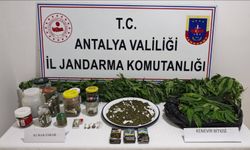 Manavgat’ta zehir tacirlerine geçit yok