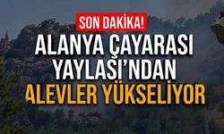 SON DAKİKA! Alanya Çayarası Yaylası'ndan alevler yükseliyor