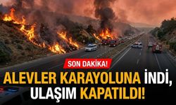 SON DAKİKA! Alevler karayoluna indi, ulaşım kapatıldı!