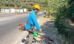 Alanya Belediyesi'nden yeşil alanlarda yoğun mesai