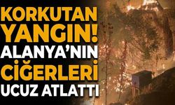 Korkutan yangın! Alanya’nın ciğerleri ucuz atlattı