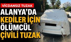 Alanya’da kediler için ölümcül çivili tuzak
