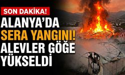 SON DAKİKA! Alanya’da sera yangını! Alevler göğe yükseldi