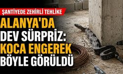 Alanya'da dev sürpriz: Koca engerek böyle görüldü