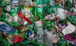 Alanya sahillerinde plastik alarmı: Turizmcilerden acil çağrı