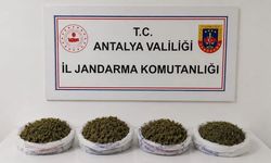 Alanya’da jandarma o adrese şok baskın yaptı