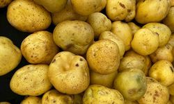 Alanya pazarcısından patates ve soğan isyanı