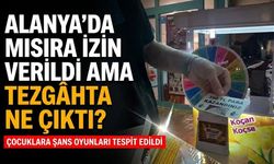 Alanya’da mısıra izin verildi ama tezgâhta ne çıktı?