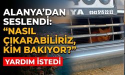 Alanya'dan seslendi: "Nasıl çıkarabiliriz, kim bakıyor?"
