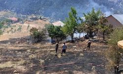 Ekipler yetişti: Sülüklü Yaylası’nda korkutan yangın