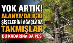 Yok artık! Alanya’da içki şişelerini ağaçlara takmışlar