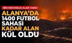 Alanya'da 1400 futbol sahası kadar alan kül oldu