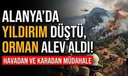 Alanya’da yıldırım düştü, orman alev aldı!