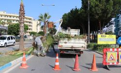 Alanya’da gece gündüz bitmeyen mesai: Sokak sokak yenileniyor