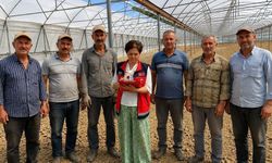 Alanya’nın 3 mahallesinde üreticiler için düğmeye basıldı