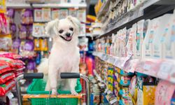 Alanya'da petshoplara denetim yapıldı