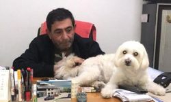 Akaryakıt istasyonu sahibiydi: İş insanı ofisinde ölü bulundu