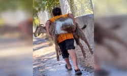 Can dostunu sırtlayıp alevlerden kaçırdı