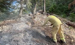 Ekipler seferber oldu! Alanya yaylasında korkutan dumanlar
