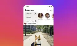 Instagram Feed Ne Demek?