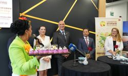 Alanya’da Tropikal Meyve Festivali başlıyor