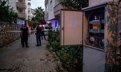 Alanya’da kovalanan anne kedi akıma kapılıp öldü