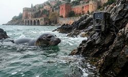 Alanya’da giriş yasak! 900’ü geçmiyor, her anları izleniyor