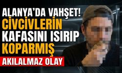 Alanya’da v*hşet! Civcivlerin kafasını ısırıp koparmış
