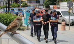 Alanya’da canlı kuşun kafasını koparan adam yakalandı