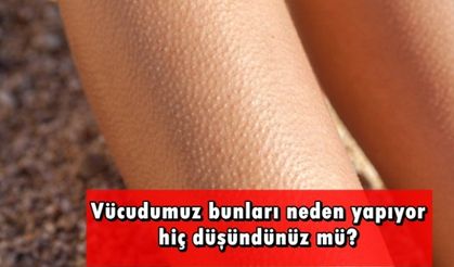 Vücudun bunları neden yapıyor?