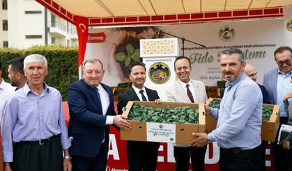 Alanya’da kırsala 311 bin adet fide desteği