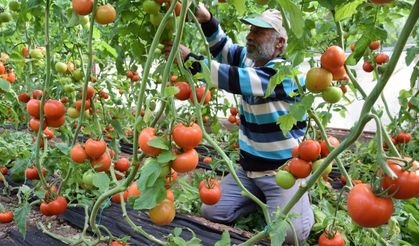 Başkan Kaya: “Sıkıntının nerede olduğunu bilemiyoruz”