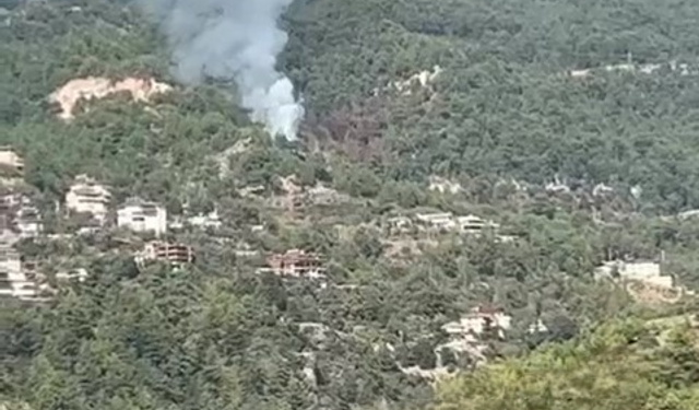 Alanya’da orman yangını! Hızla müdahale edildi