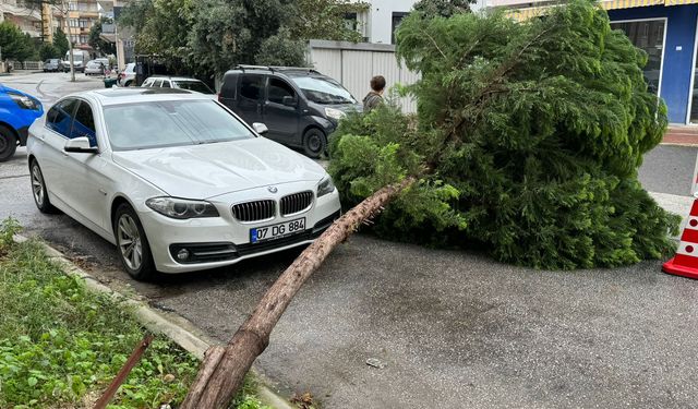 Alanya’da altında kalmaktan son anda kurtuldu