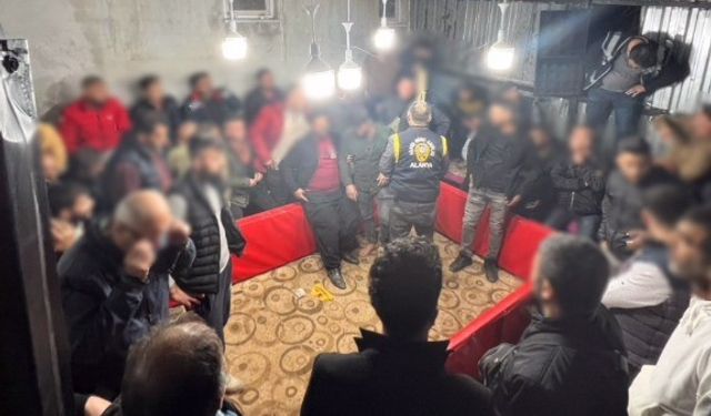 Alanya'da bahisli horoz dövüşüne polis baskını