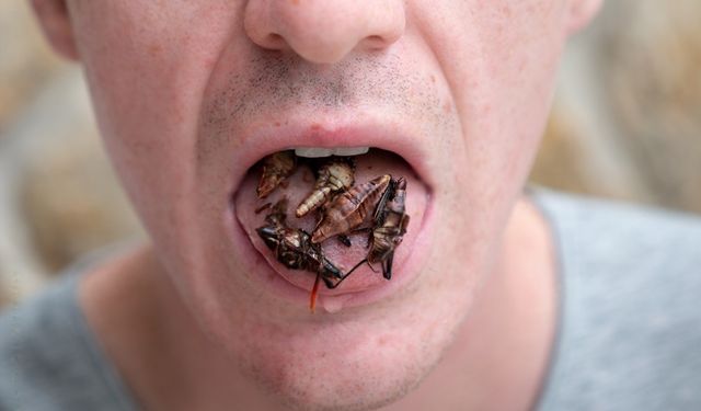 Antalya'da işkence dehşeti: Genç işçiye böcek yedirip dişlerini söktüler