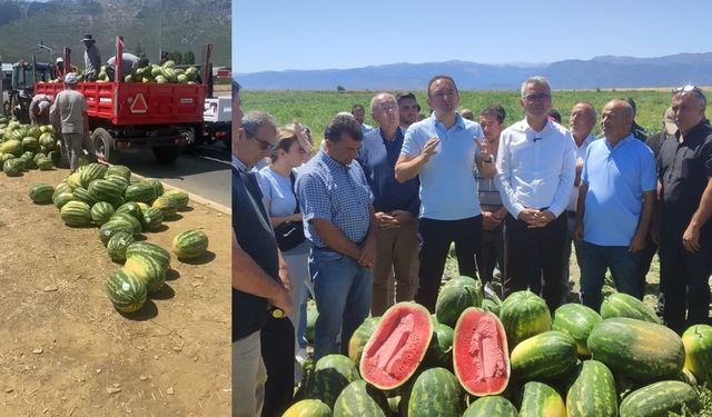 Başkan ücretsiz dağıttı, Alanya Seydişehir’i kıskandı