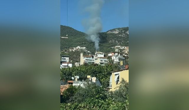 Alanya'da orman yangını kontrol altına alındı