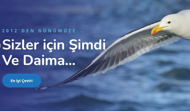 İspanyolca Türkçe Çeviri ve İtalyanca Çeviri