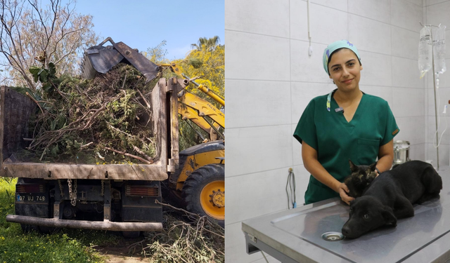 Komşuda hazırlık tamam, yuva çağrısı yapıldı