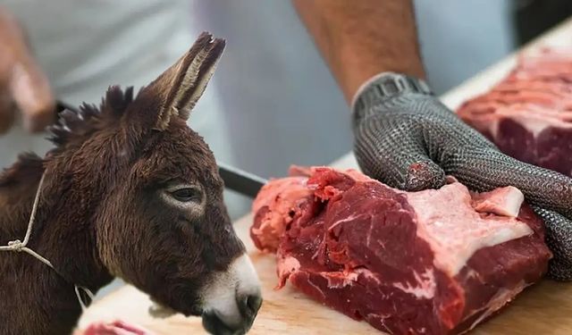 Antalya’da tantuni diye eşek eti yedirdiler