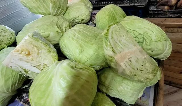 Alanya’da şaka gibi, çeyrek lahana satılıyor