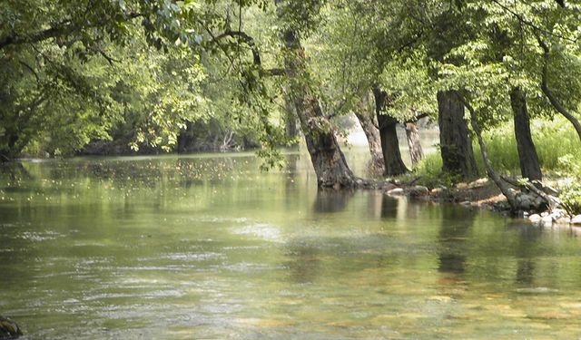 Dim Çayı’nda işgale mahkeme ‘Dur’ dedi