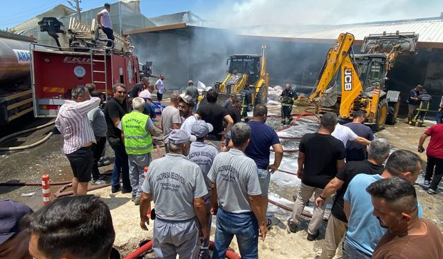 Dumanlar Alanya'dan görüldü: Komşuda dev yangın