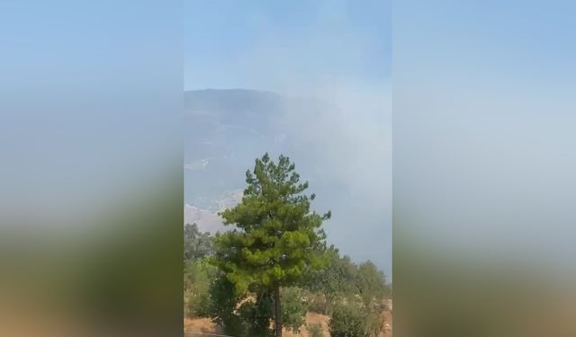 SON DAKİKA! Yanıyoruz! Maalesef Alanya’nın komşusu da alevlere teslim